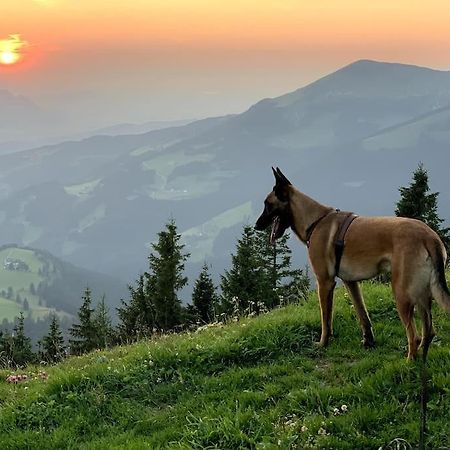 شقة Urlaub Mit Hund Im Salzburger Land Wegscheid المظهر الخارجي الصورة