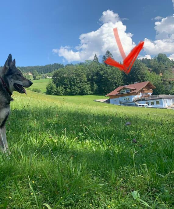 شقة Urlaub Mit Hund Im Salzburger Land Wegscheid المظهر الخارجي الصورة