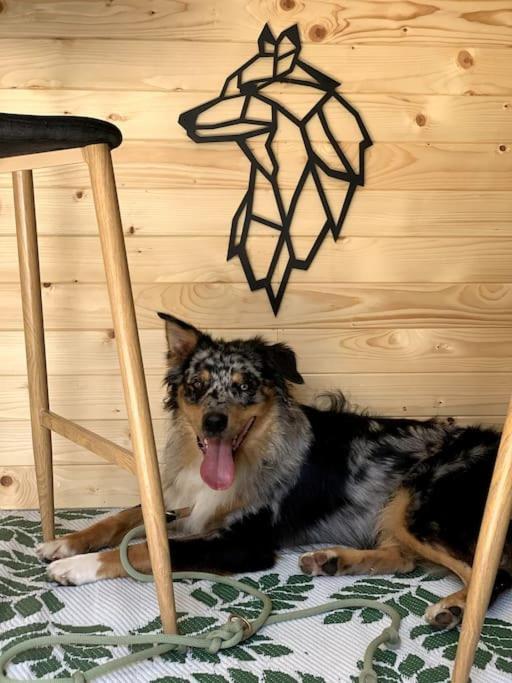شقة Urlaub Mit Hund Im Salzburger Land Wegscheid المظهر الخارجي الصورة